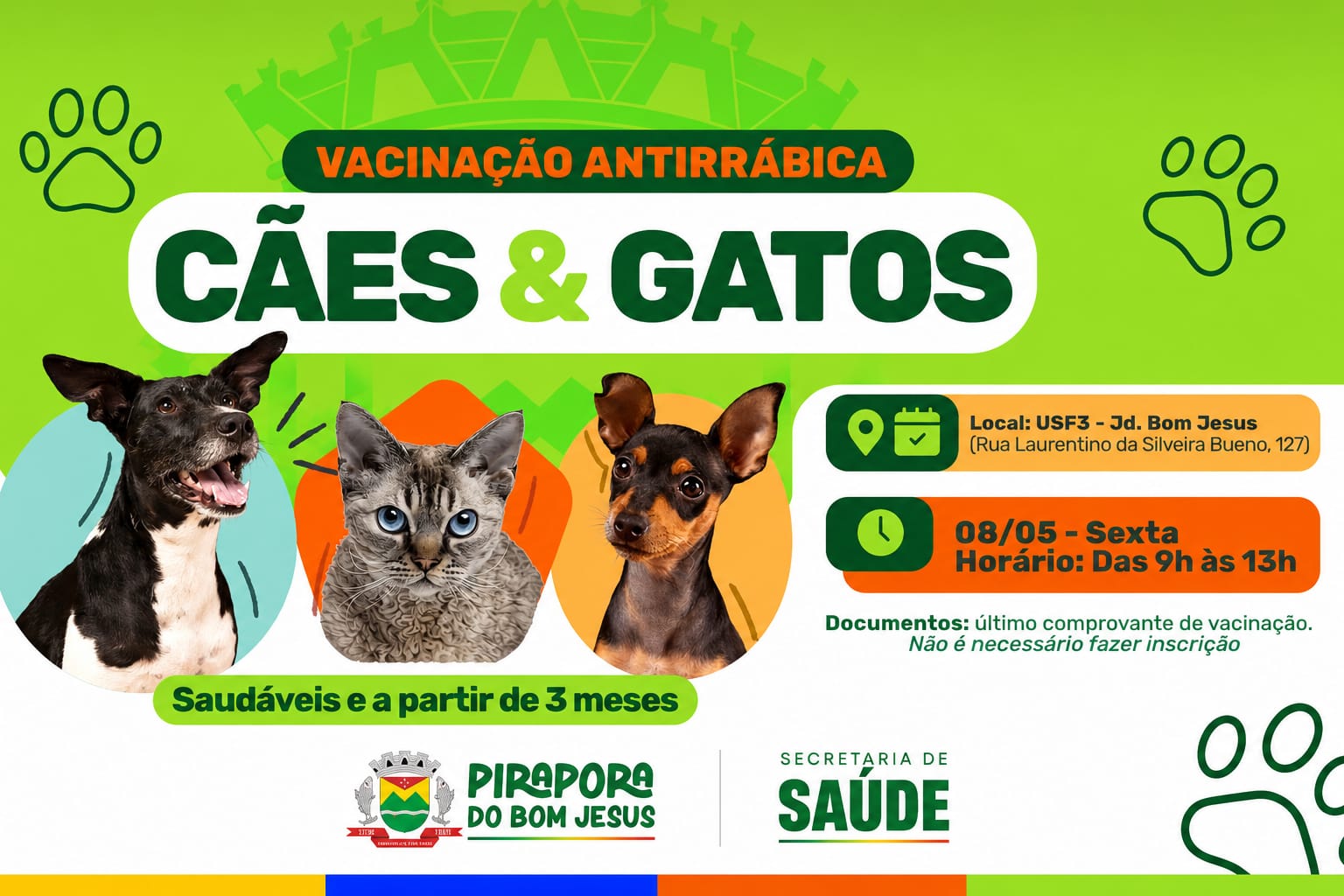 Vacinação antirrábica 💉❤️