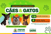 Vacinação antirrábica 💉❤️